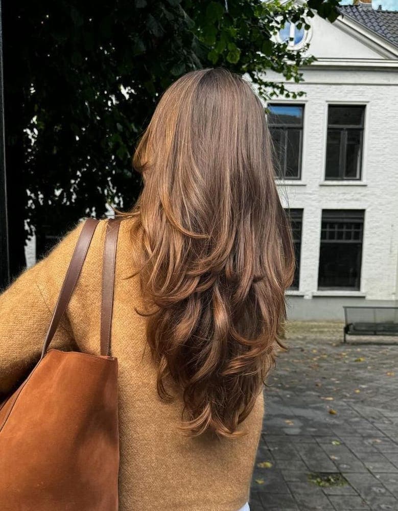 Long layers, glossy back view